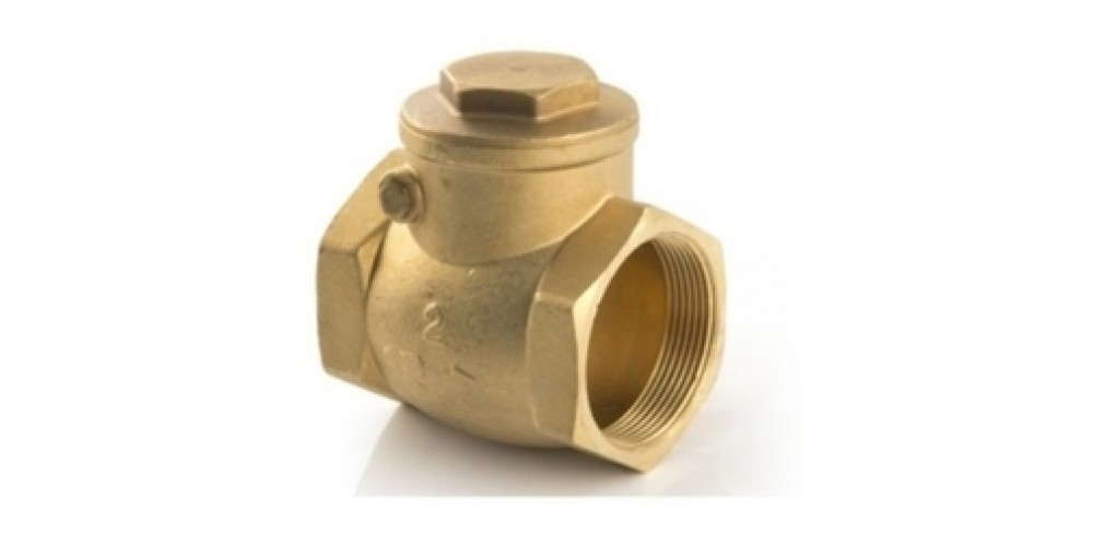 Valve Swing Check Valve 2