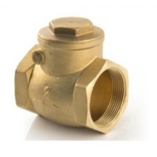 Valve Swing Check Valve 2