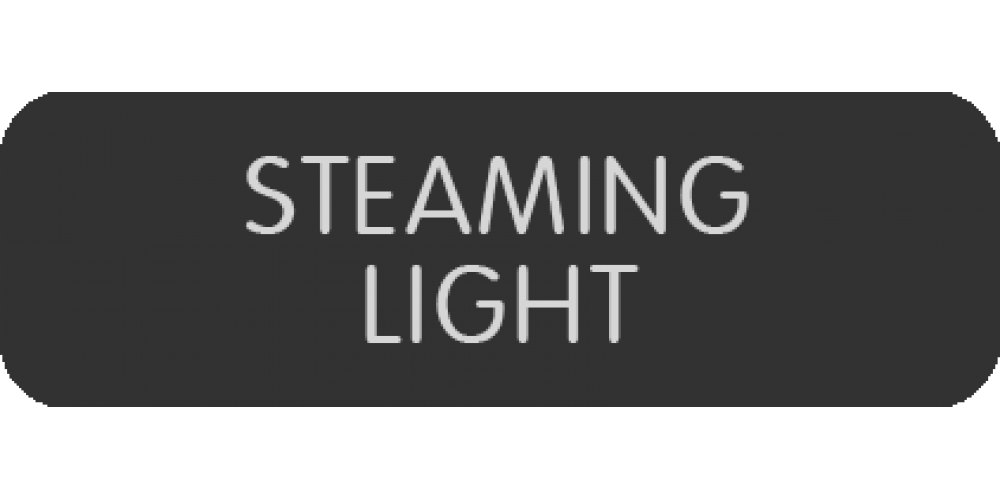 Blue Sea Systems Panel Label Steaming Light