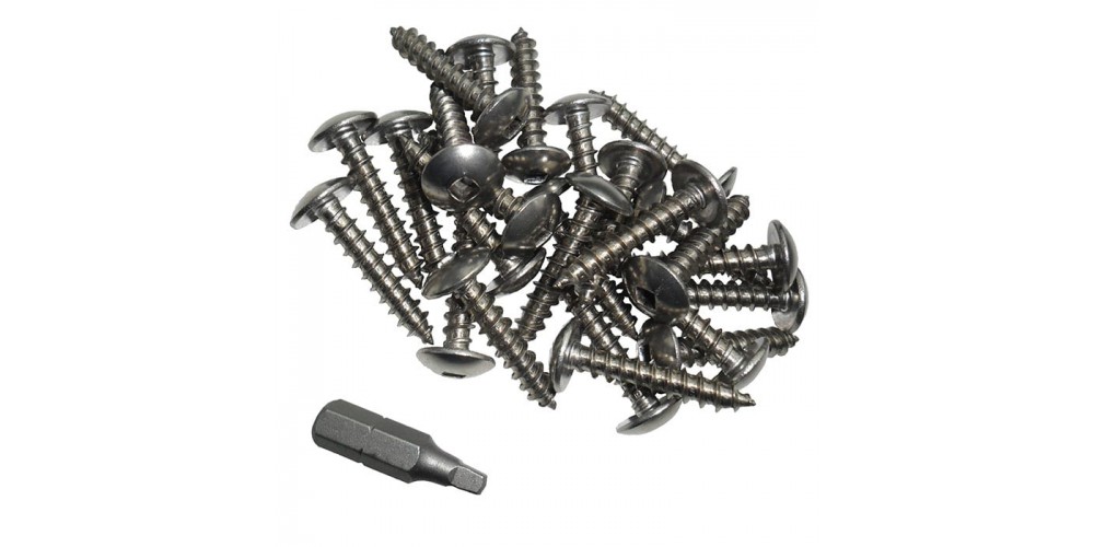 Dock Edge Screws & Driver Stainless Steel 100 Pc/Pk