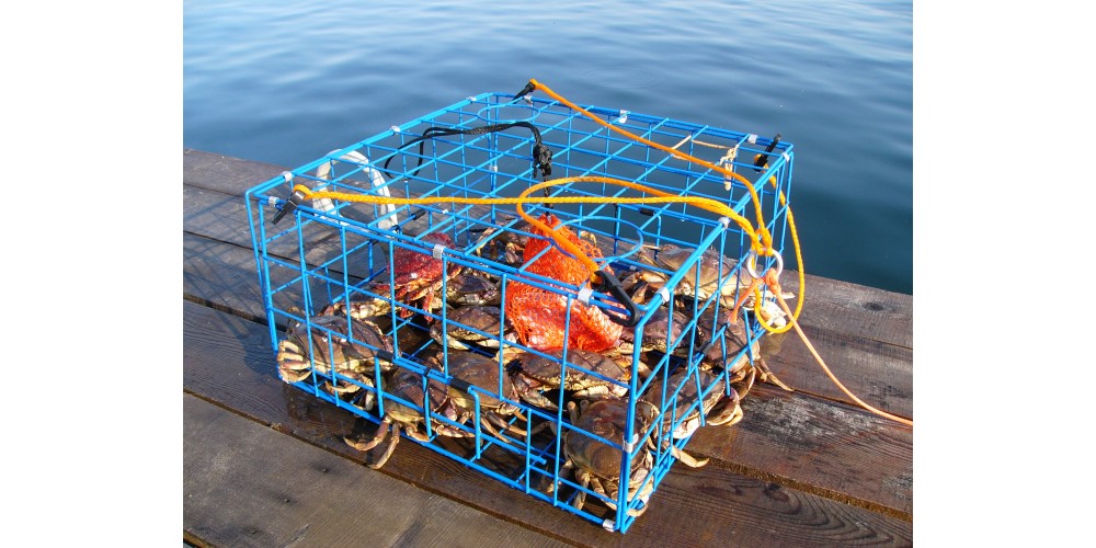 Brons 24" Collapsible Crab Trap Folding - CT002S