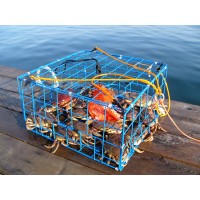 Brons 24" Collapsible Crab Trap Folding - CT002S