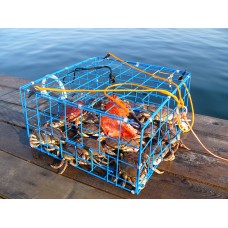 Brons 24" Collapsible Crab Trap Folding - CT002S