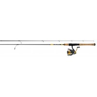 Daiwa Revros Freshwater Spinning Combo