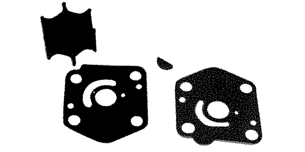 Sierra Water Pump Kit 18-3256