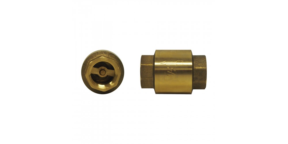 Fairview 3/8 Pipe Check Valve