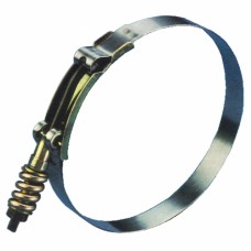 Fairview Spring Hose Clamp 2.5