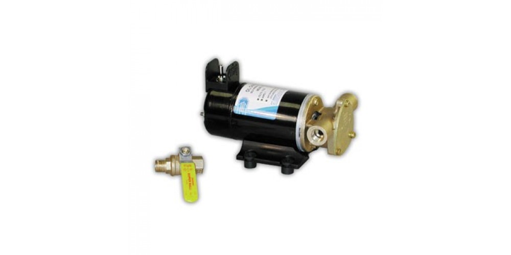 Itt Jabsco Pump 24V Oil Change Reversible